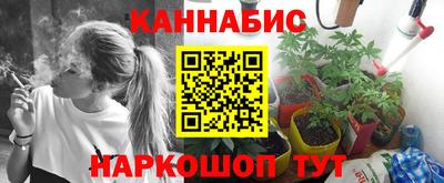 стафф Новодвинск