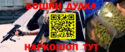 стафф Новодвинск
