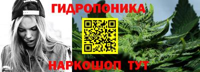 эйфоретик Новозыбков