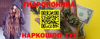 мдпв Новокубанск