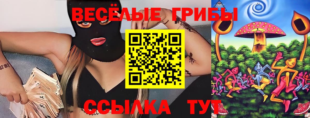 Псилоцибиновые грибы Psilocybine cubensis Буйнакск